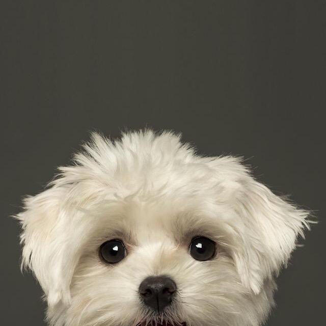 ben