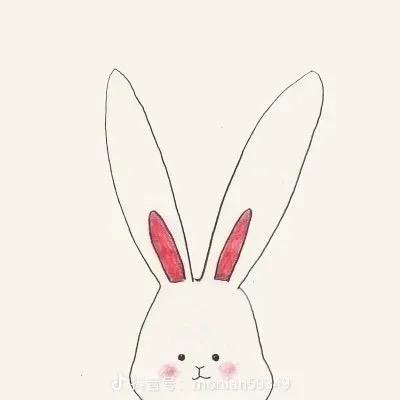 长耳朵的兔子🐰