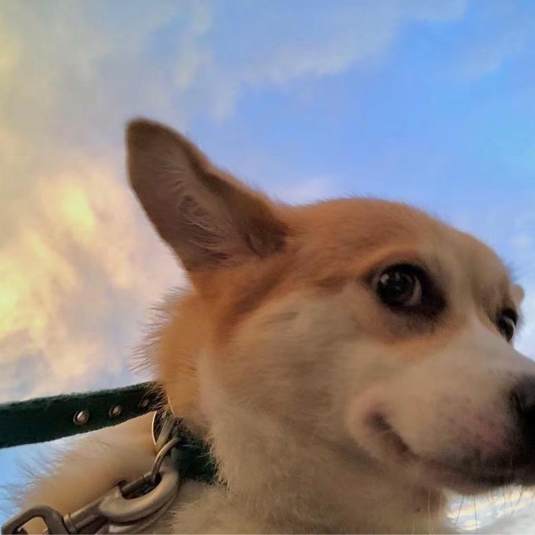 小迟