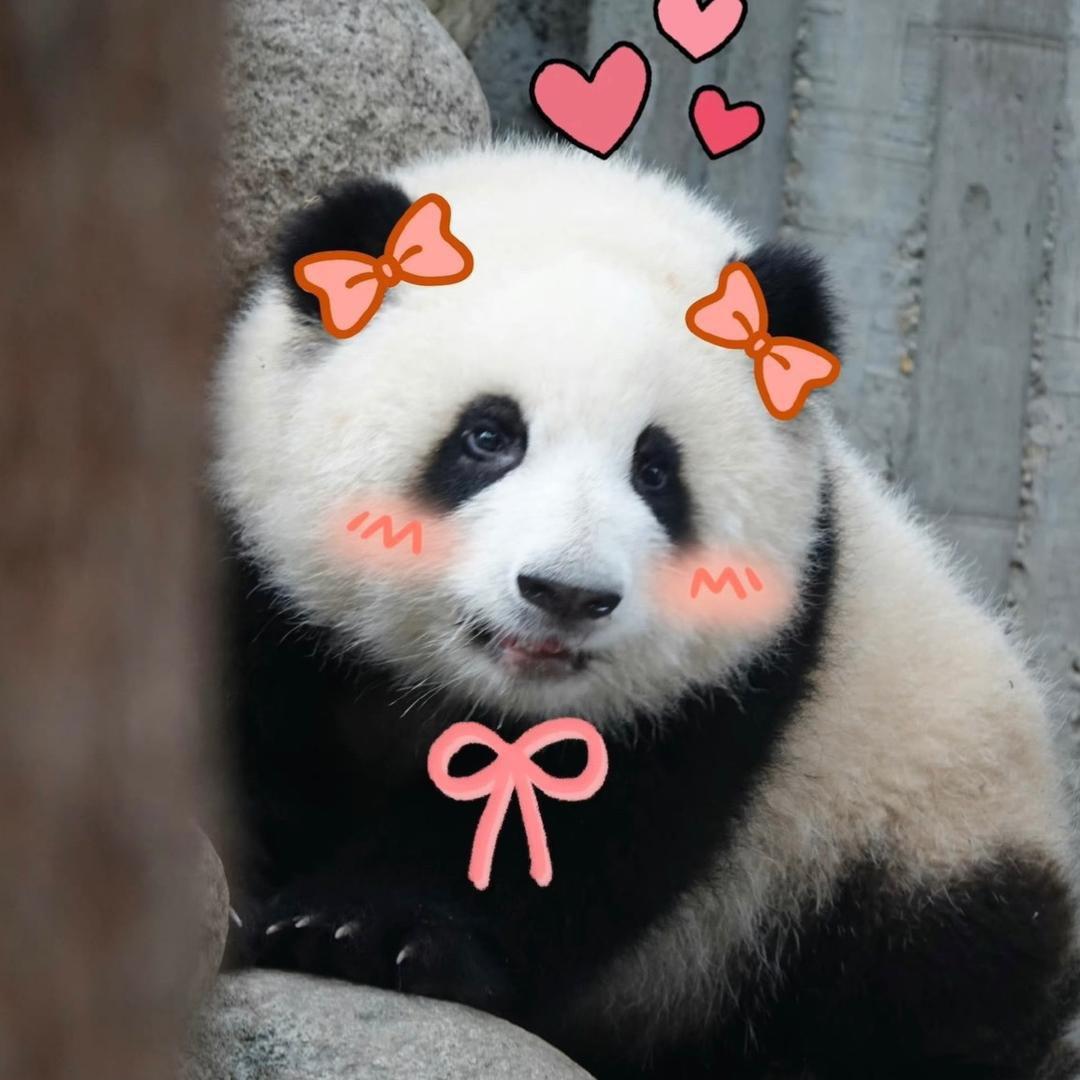 顺顺顺