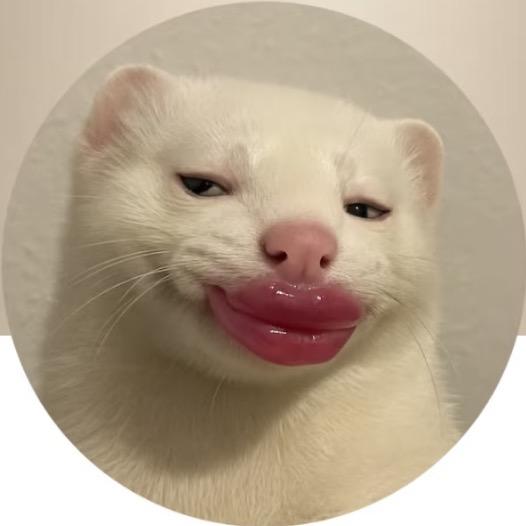 -·-