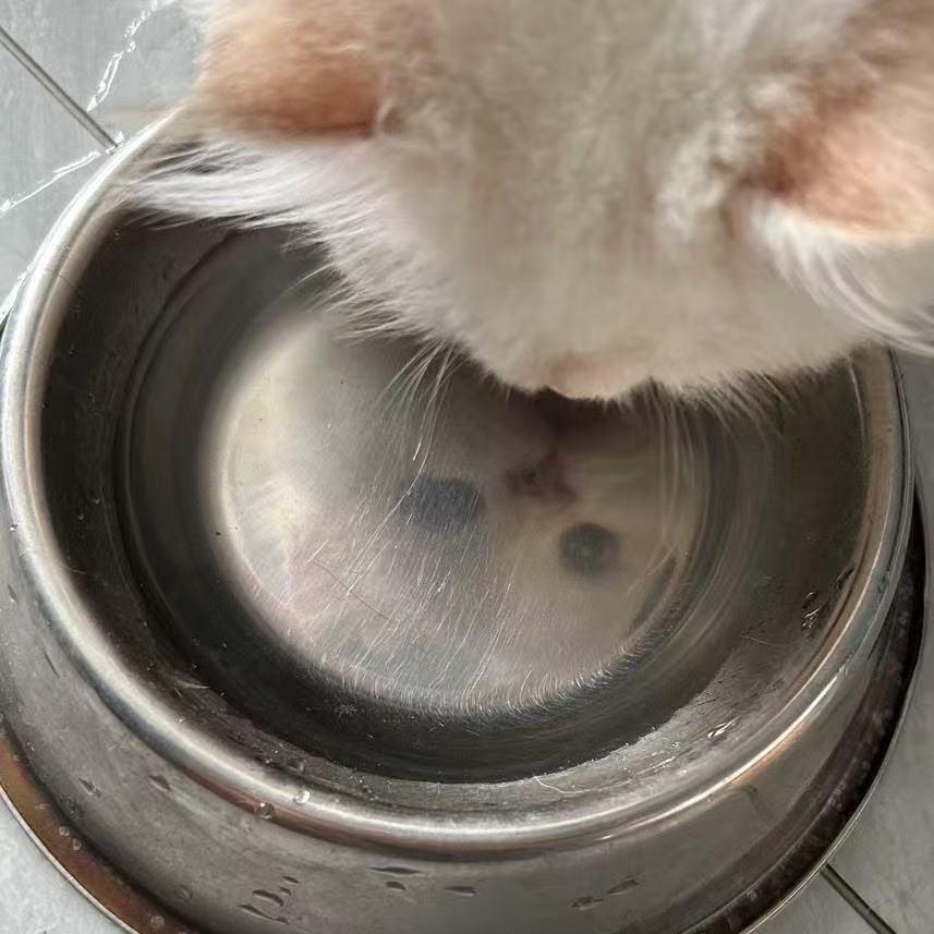 黑凡