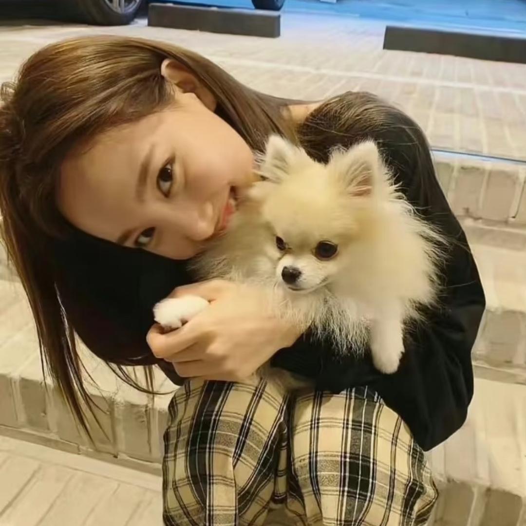 杏杏子