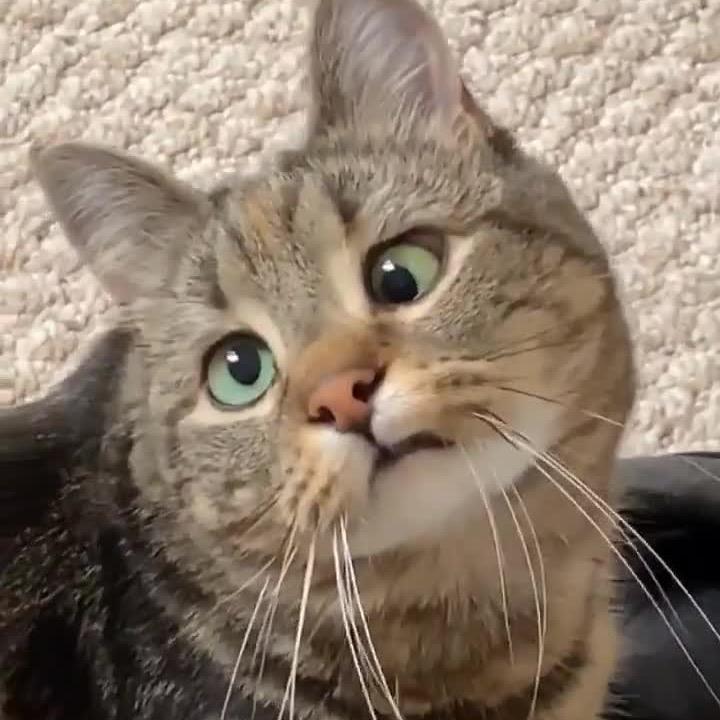 百事可乐