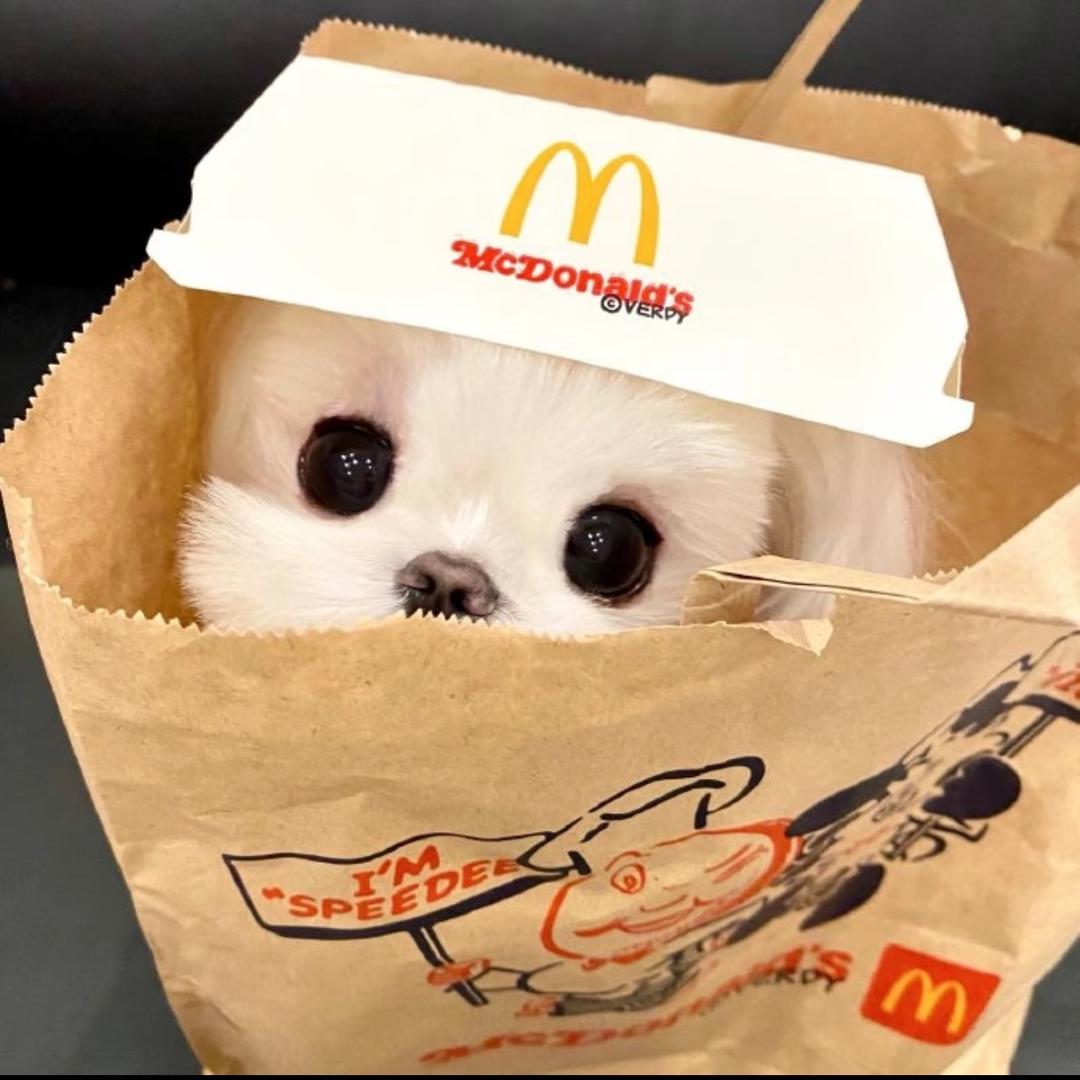 鸾渊