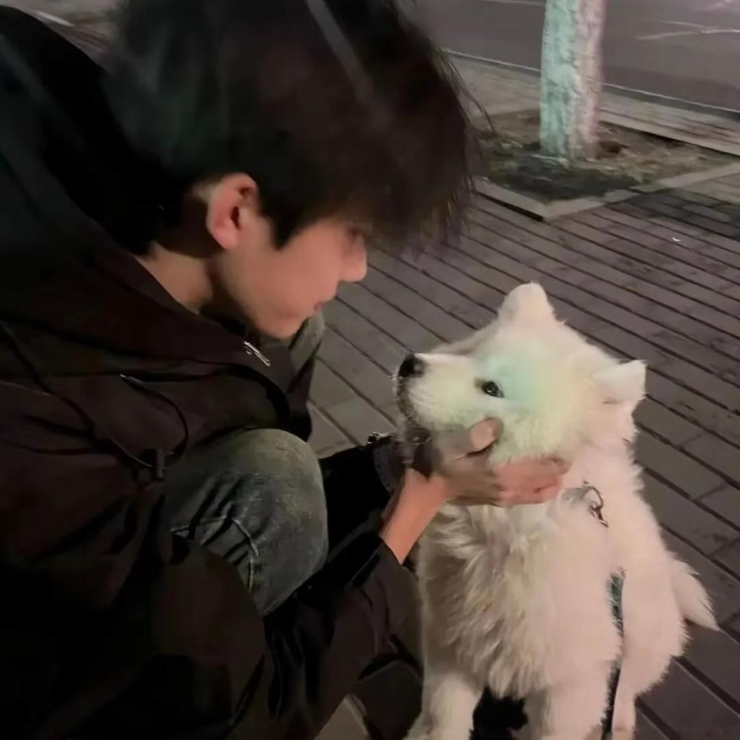 宇