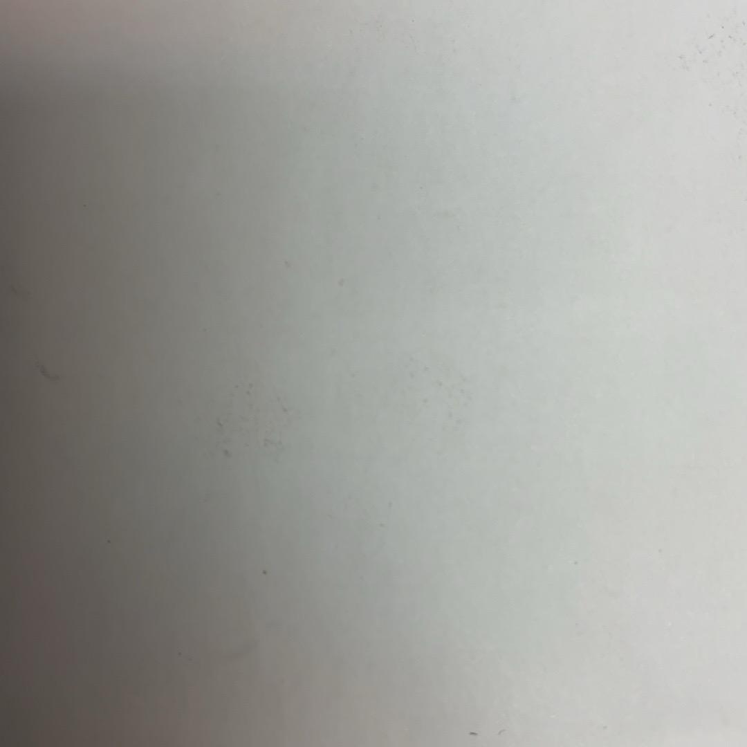 李公子2