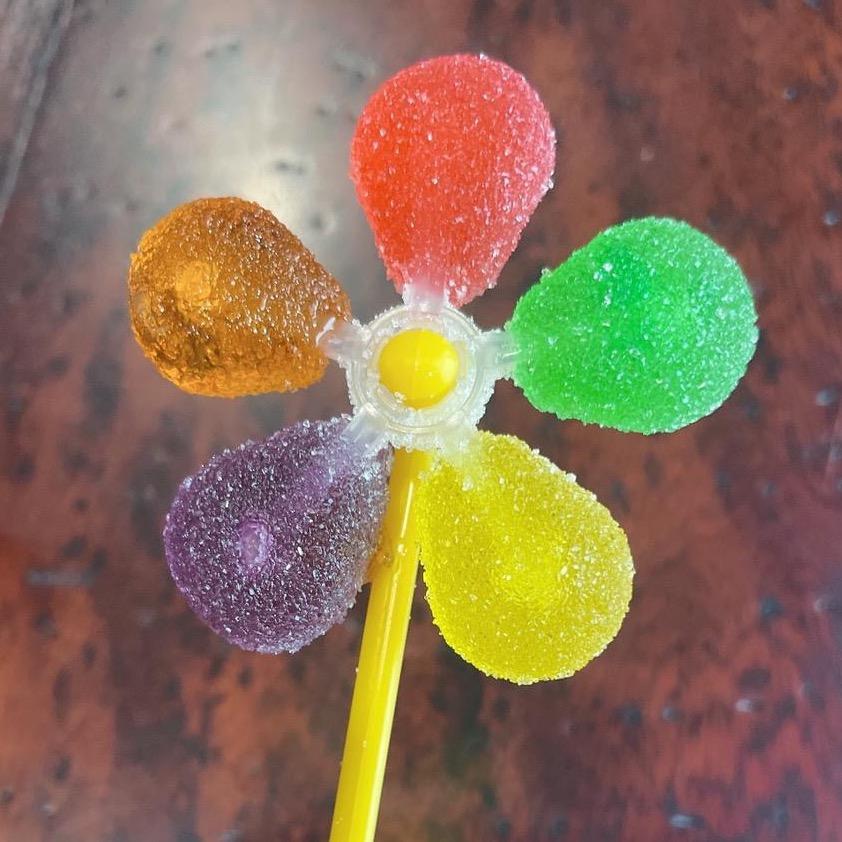 早晨的太阳（关注晚点必回）