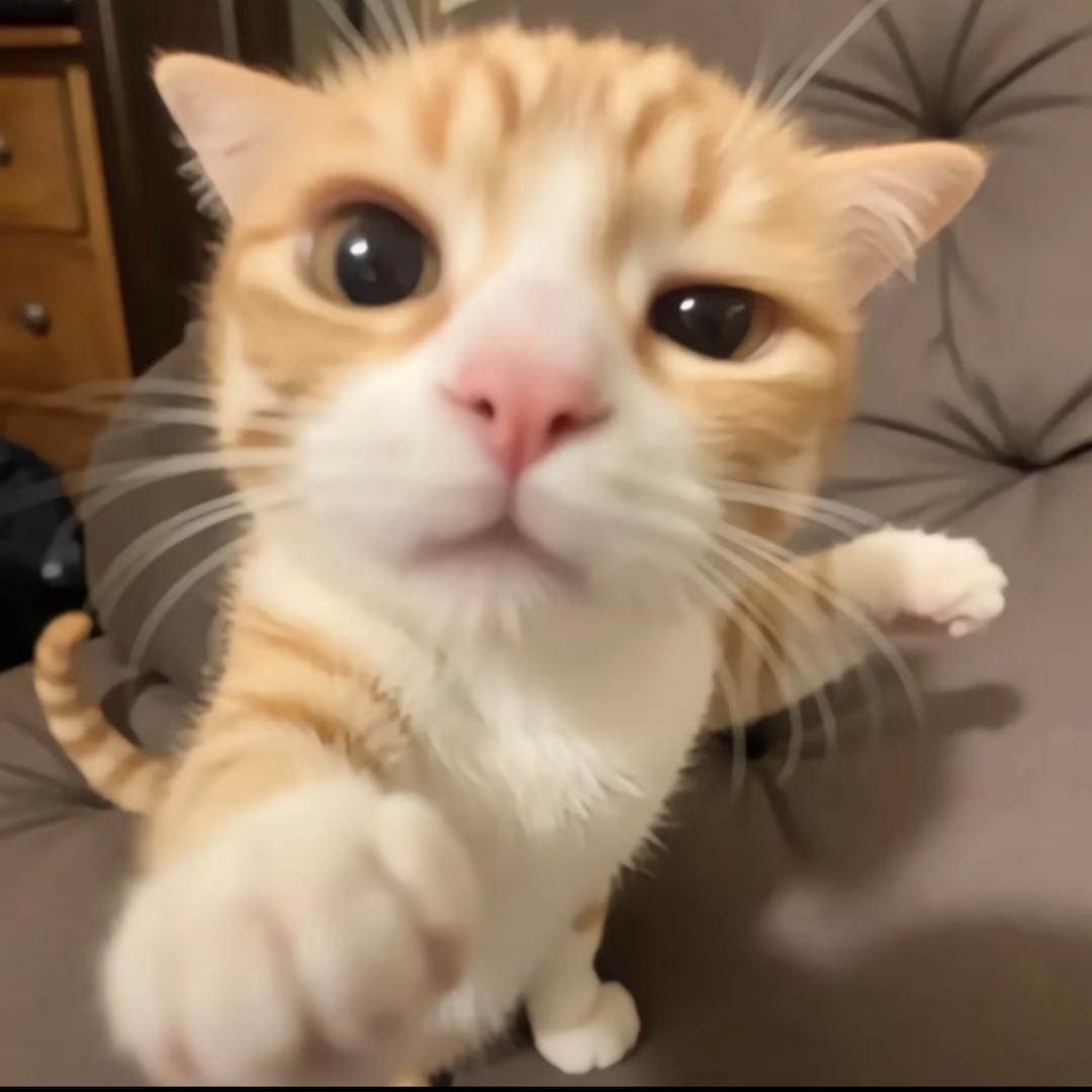 蛋挞卷卷^_^