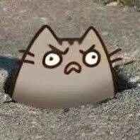 里十针