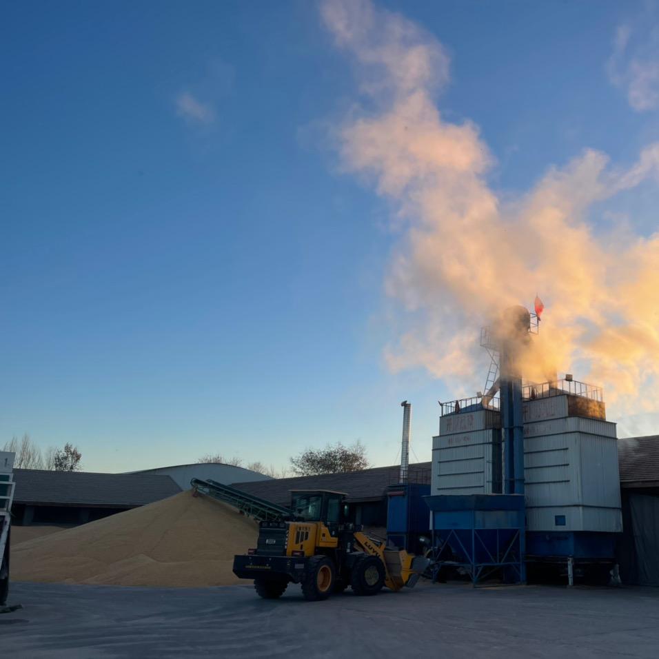 🌽玉米购销🌽