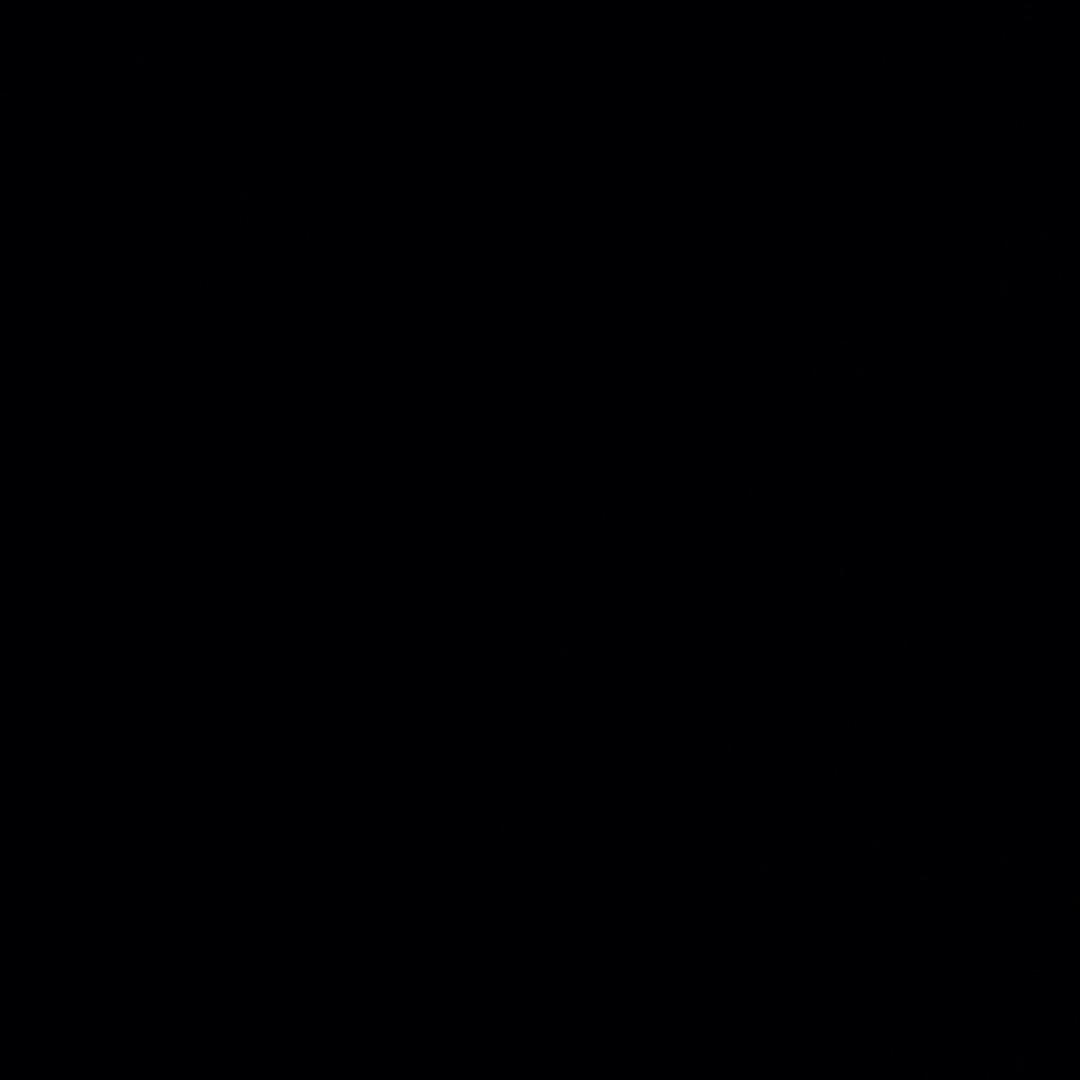 白、