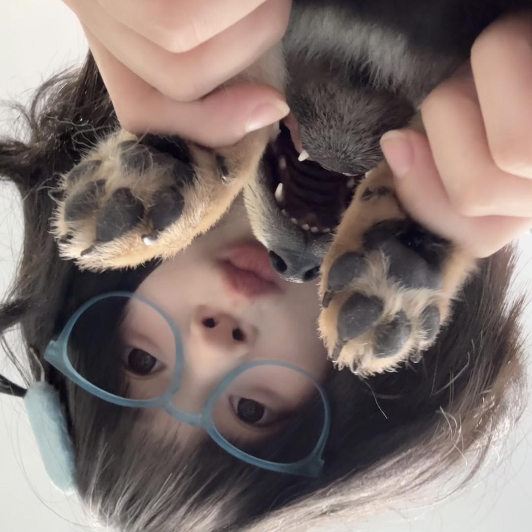 不宅梦