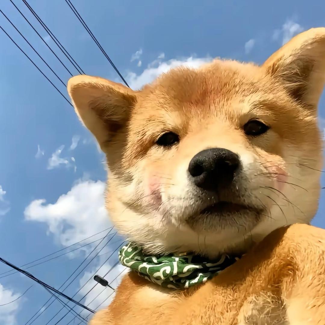 CF手气王（抽奖）