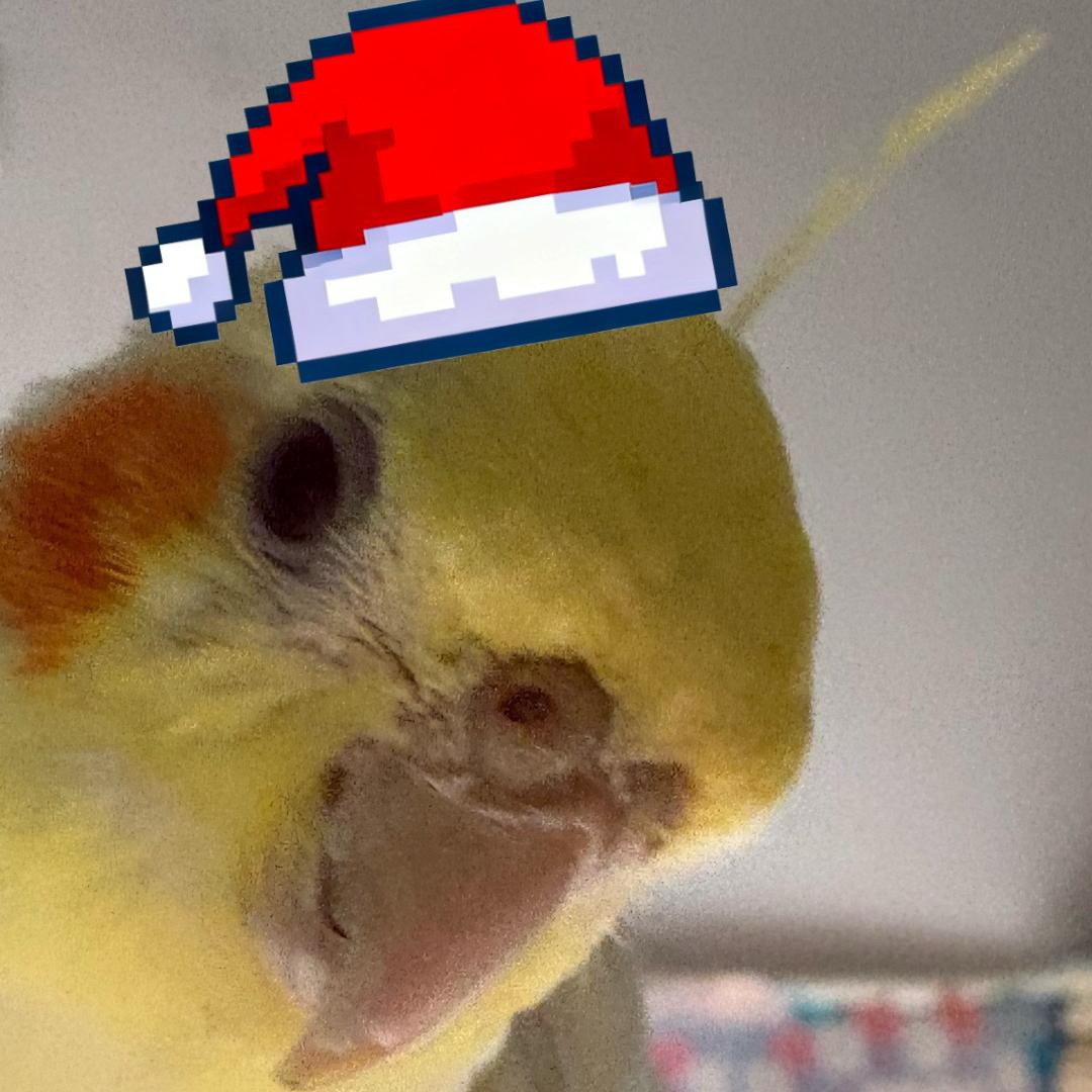 猛踹瘸子好腿💜