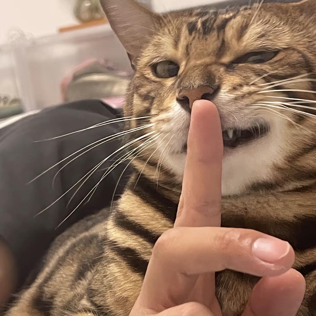 失眠不早睡
