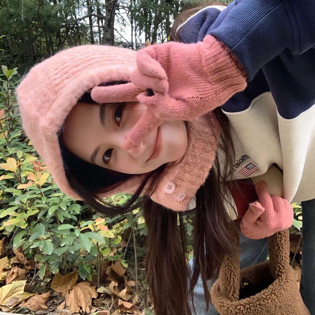 整天想摆烂的梨哈哈