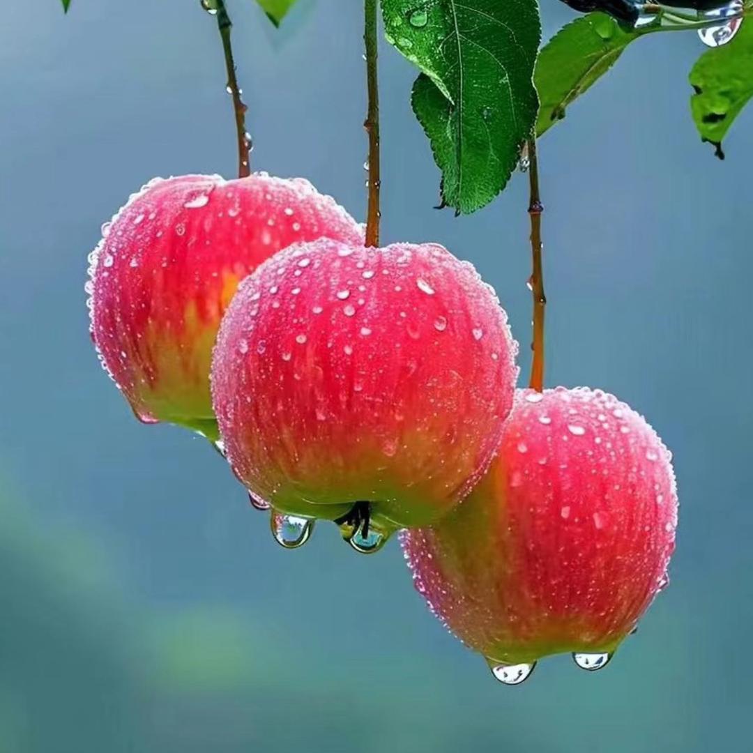 珍惜每一天🌸🍃🌸