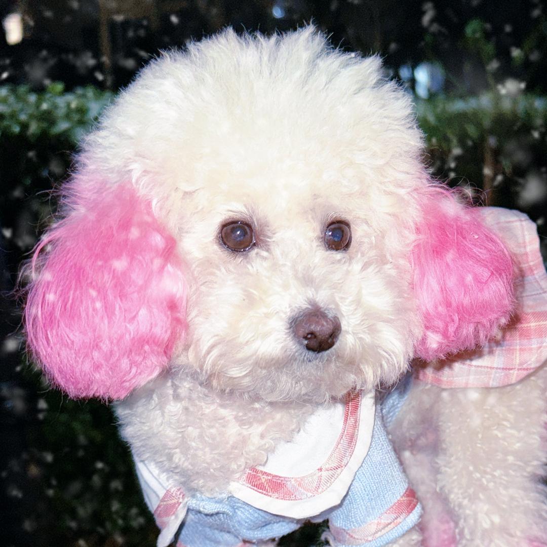 我叫小Kt  你记住