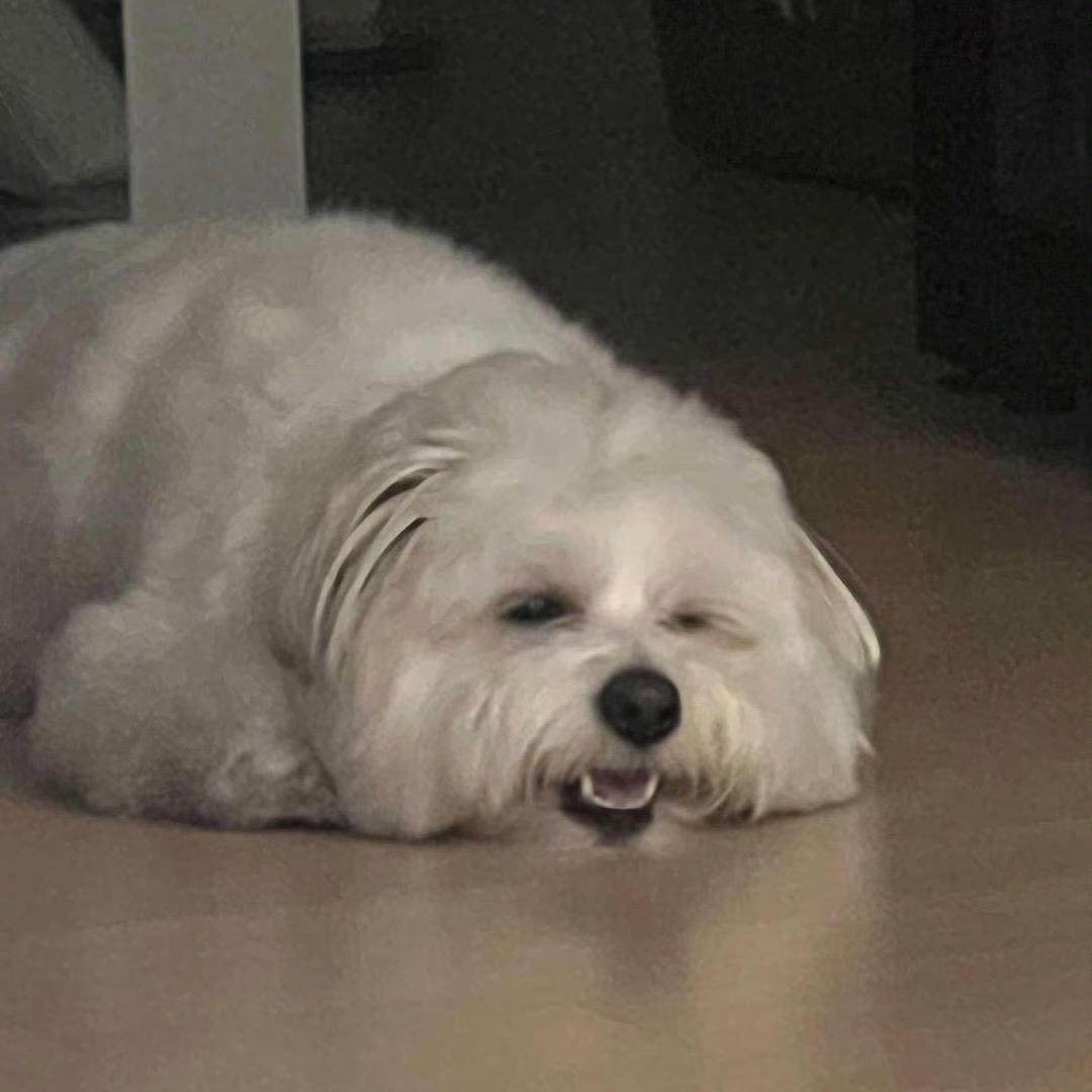 大邱澈哩子