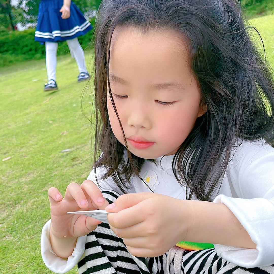 菜菜