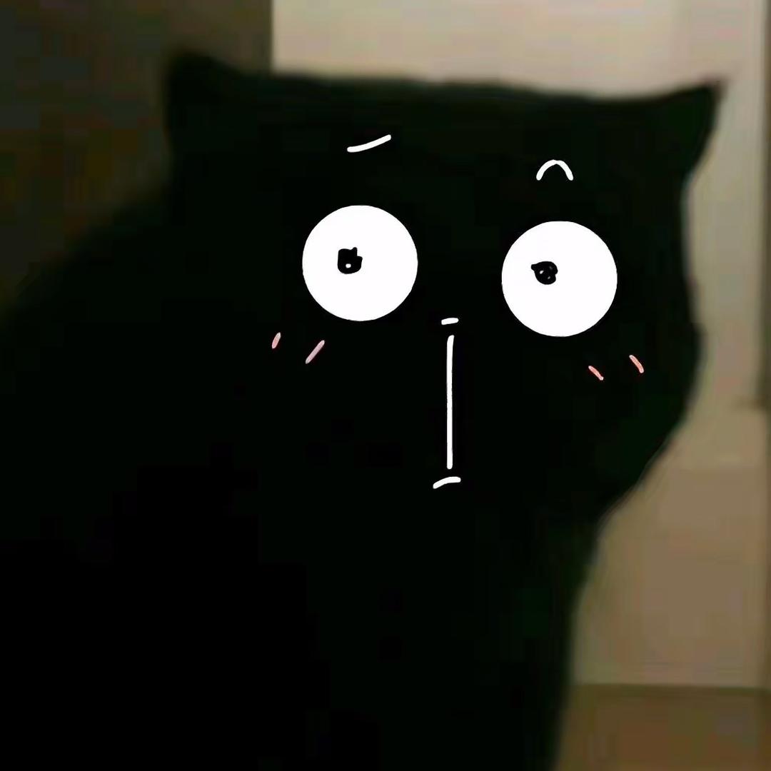 不低头的小熊同学