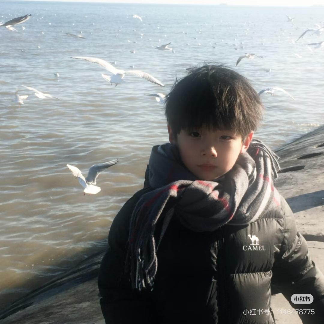 小T（无畏契约）