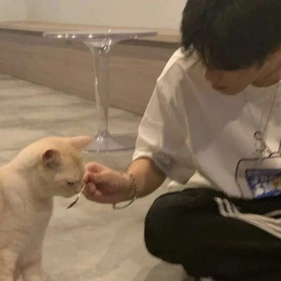 小周睡不醒