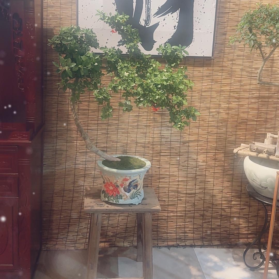 益相园艺创意屋
