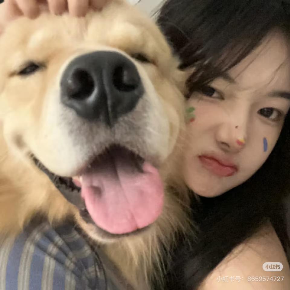 不许🐻美女