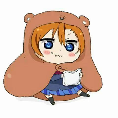 点点是只猫