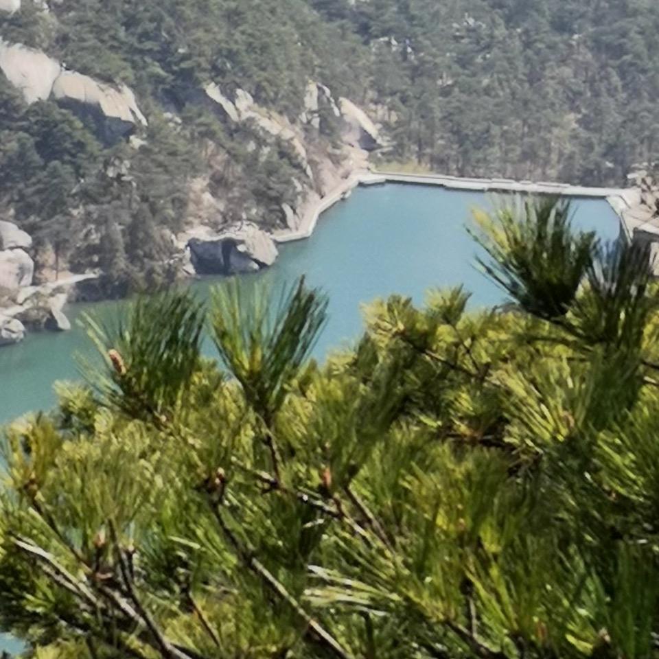 想念