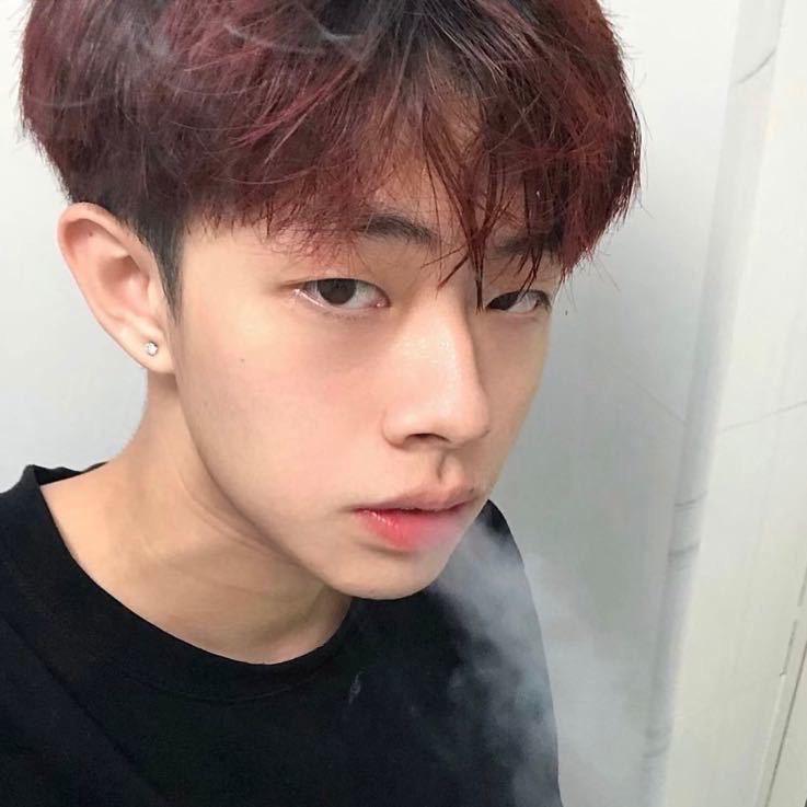 Oi鲨鲨o