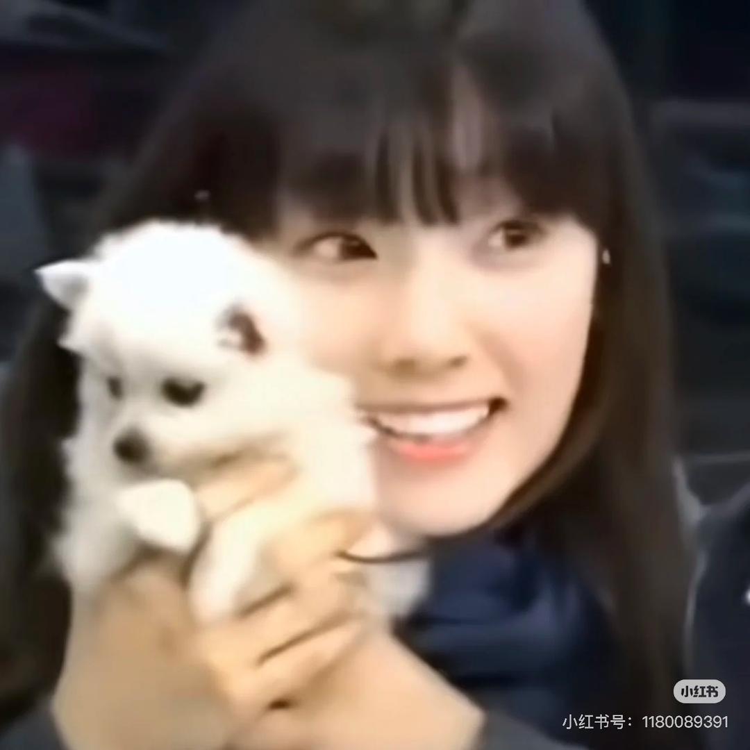 面面大王