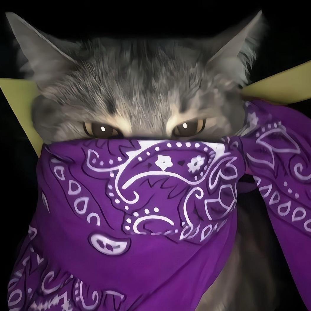 爱扶老奶奶过马路的bro！