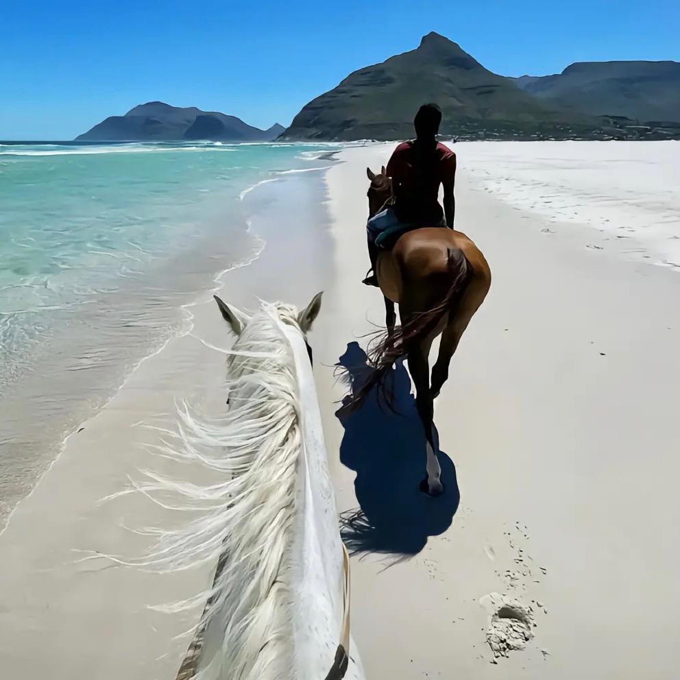 🔵道👋🏻艺人🎰