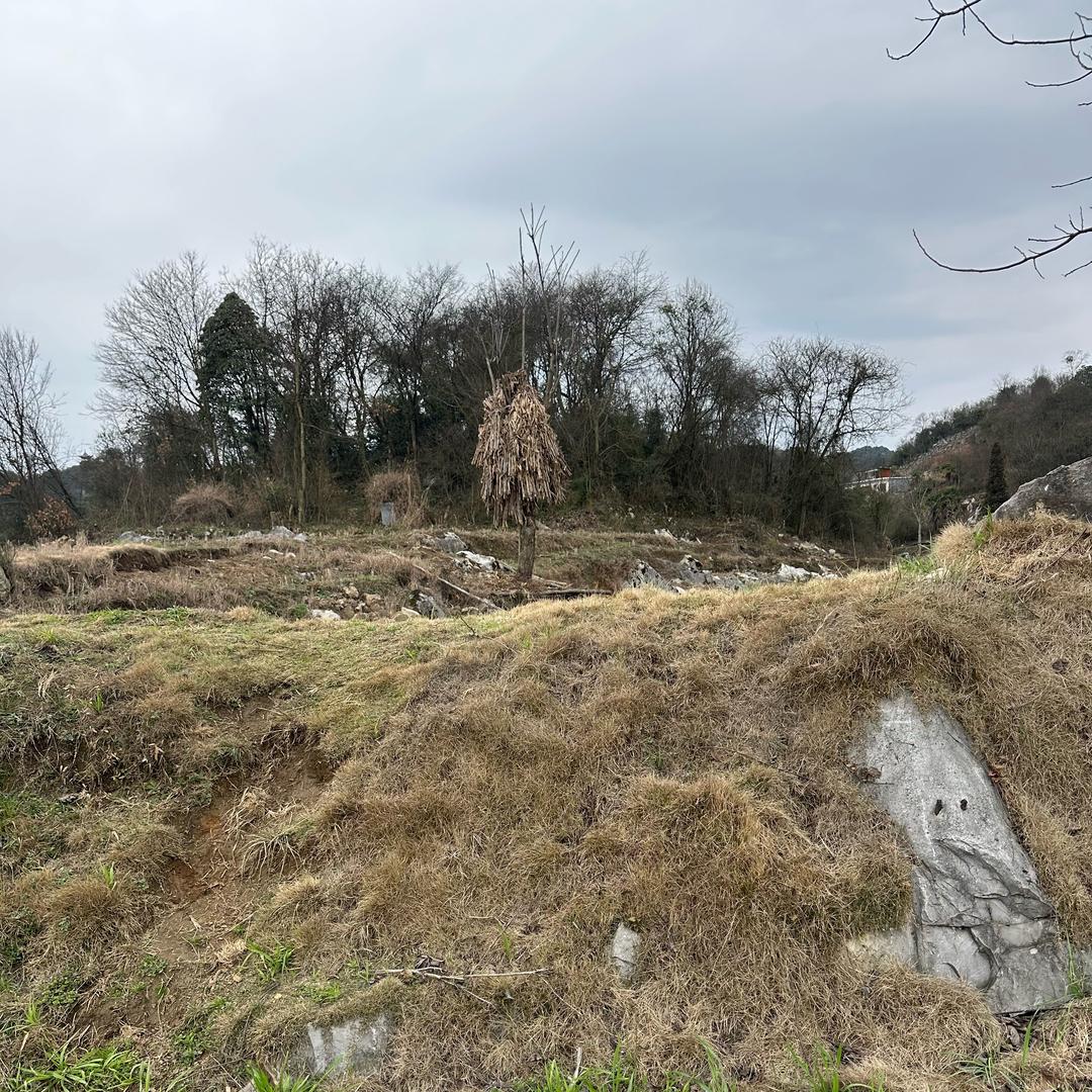 贵州小勇在乡下