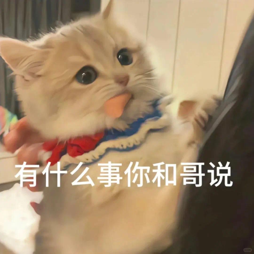 qaq