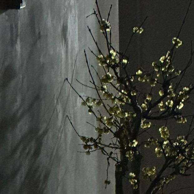 何三岁