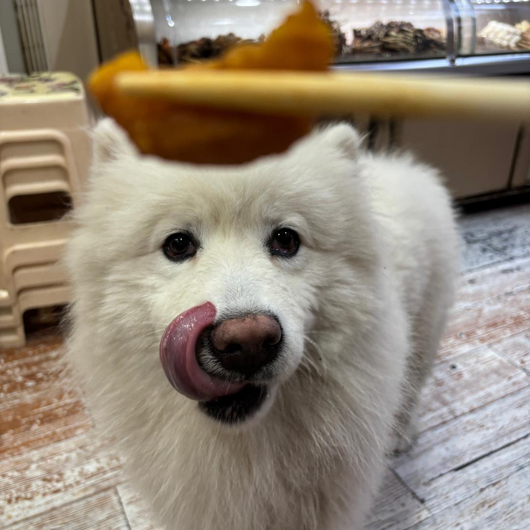 pp不爱吃苦瓜