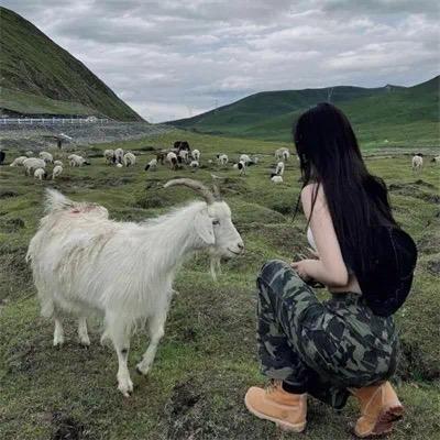 七七🌸.
