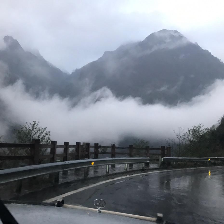 大个儿校长头像