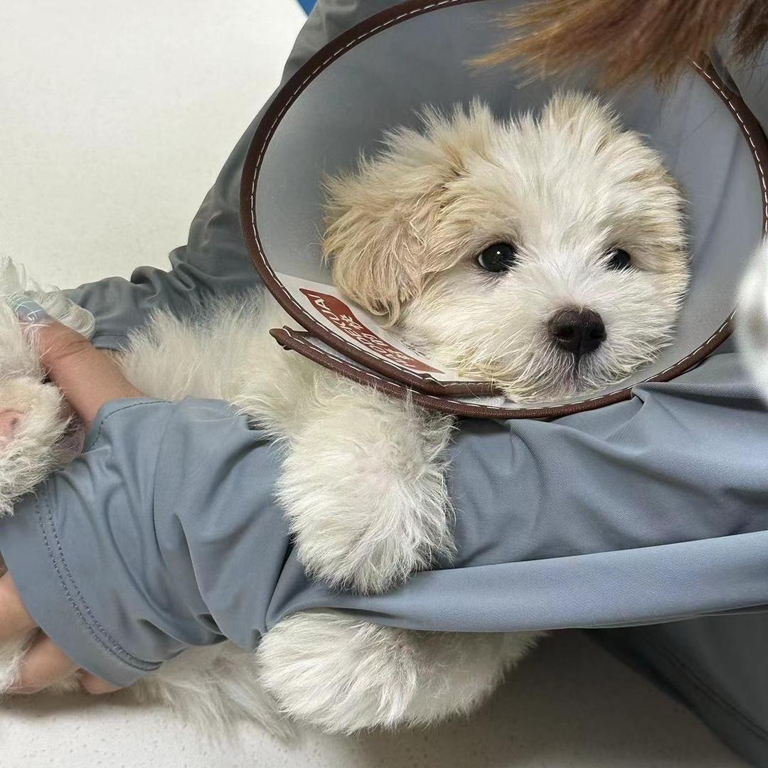 糯米专用小相册