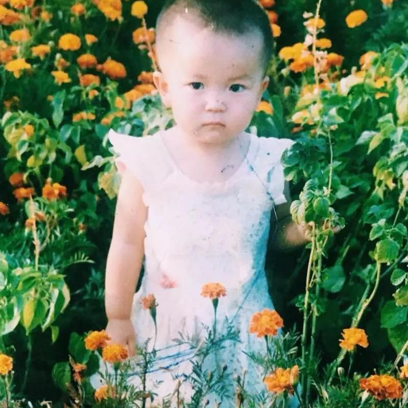 参见洋葱大王🧅