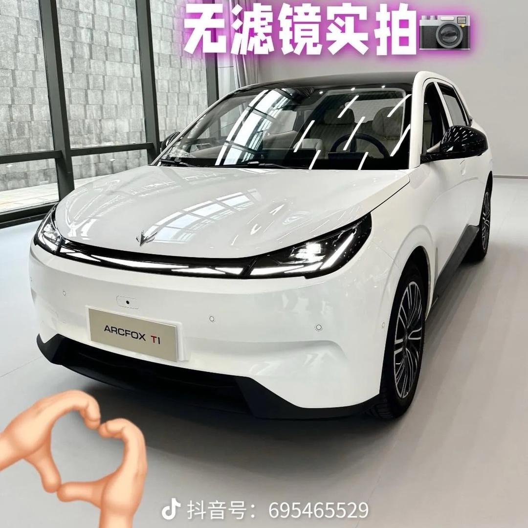 极狐T1康康
