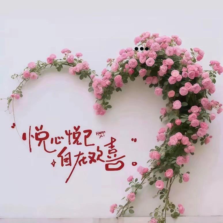 做自己的创口贴