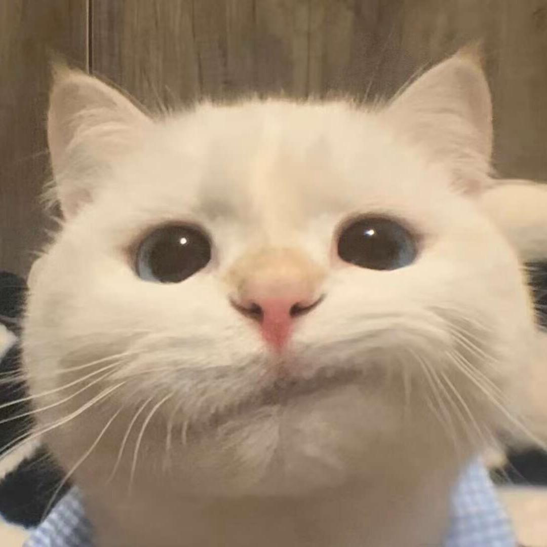 你怎么连话都说不清