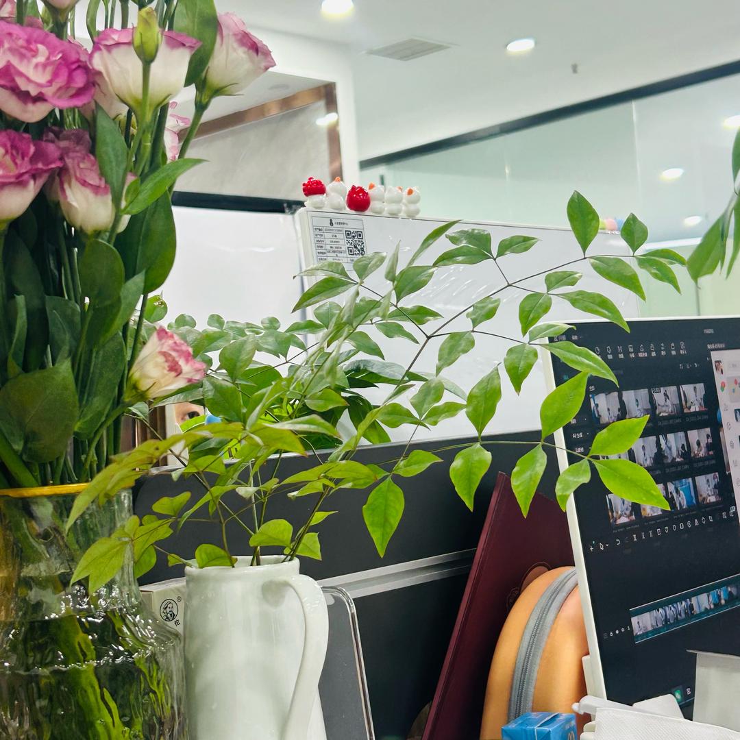 勇往直前小猫咪