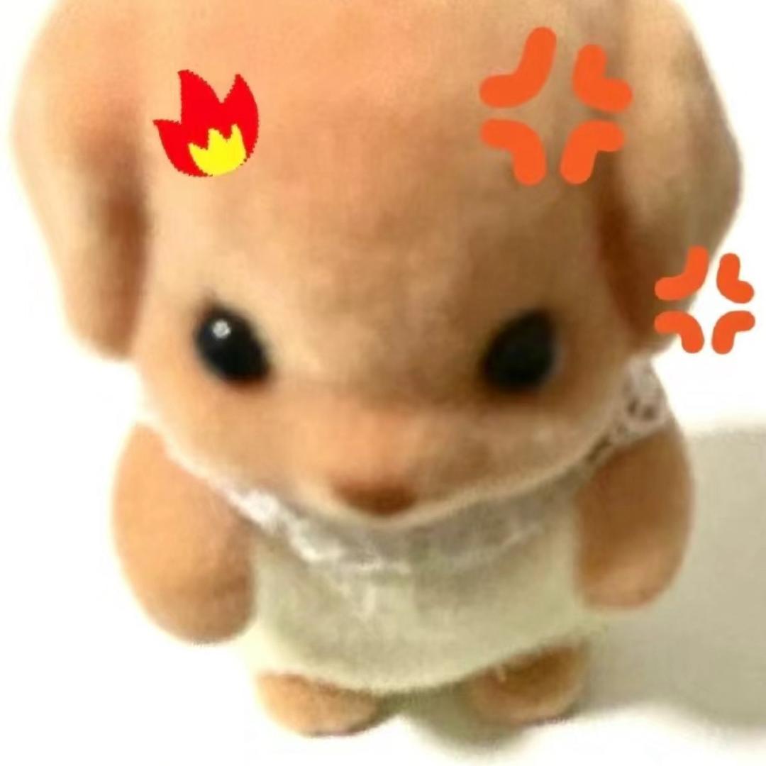 小依依酱💓