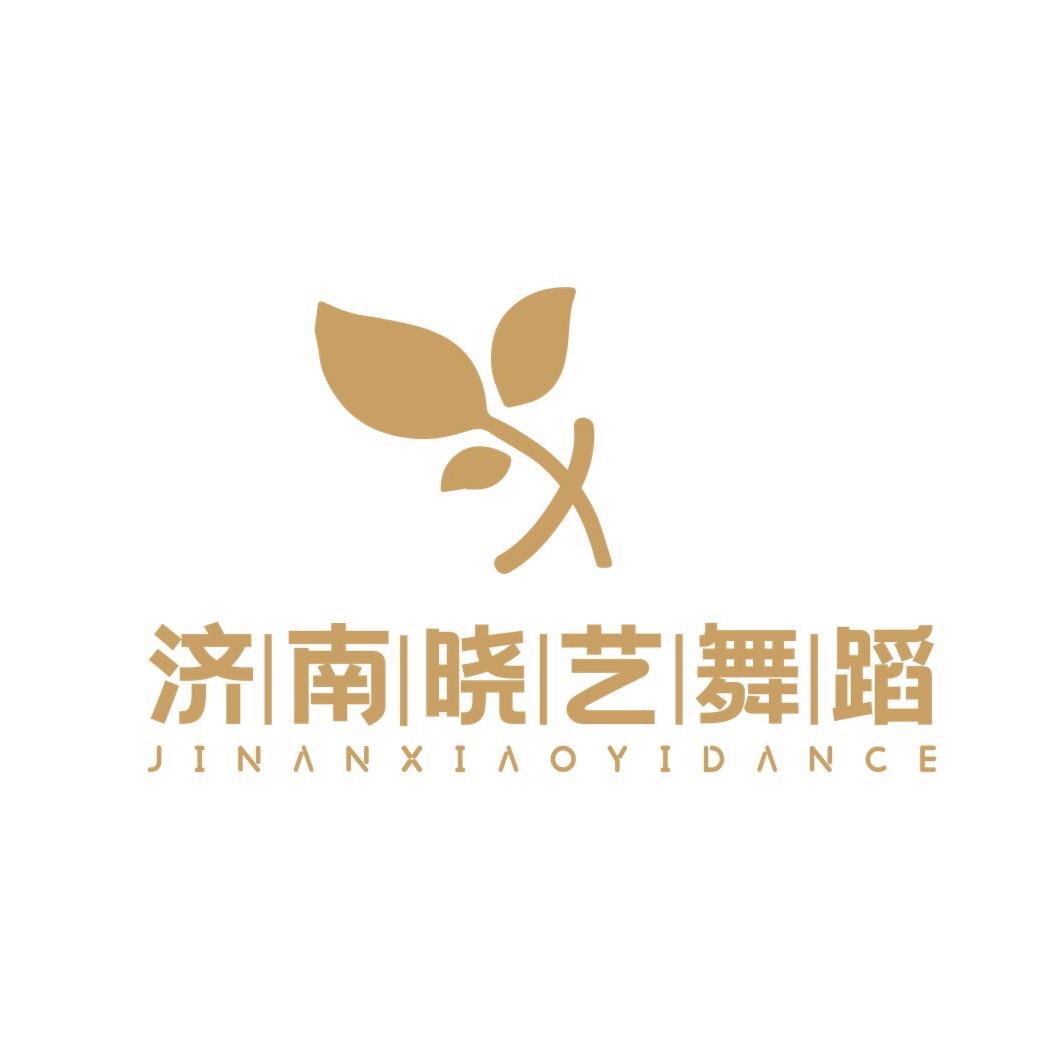 济南晓艺舞蹈